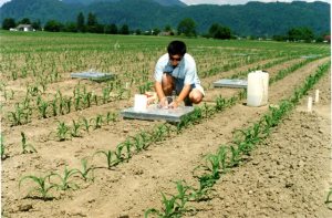 We measured N2O emission from manured soils at Agriculture and Agri-Food Canada in 1996. 